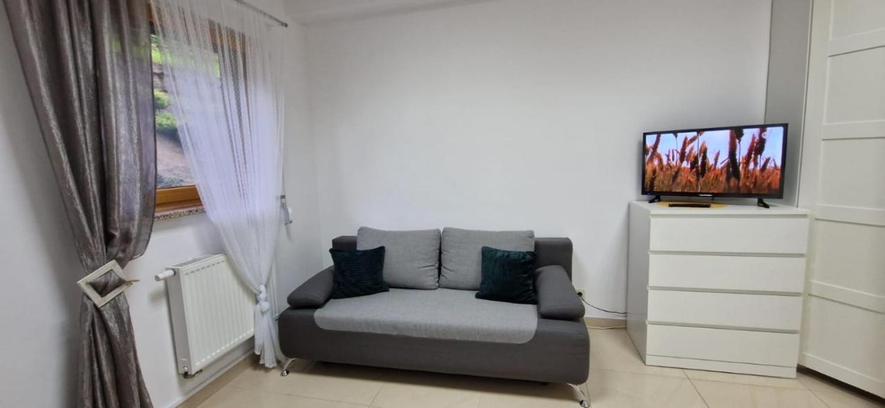Rodzinne Zacisze: Pet-friendly Family Haven With Parking *