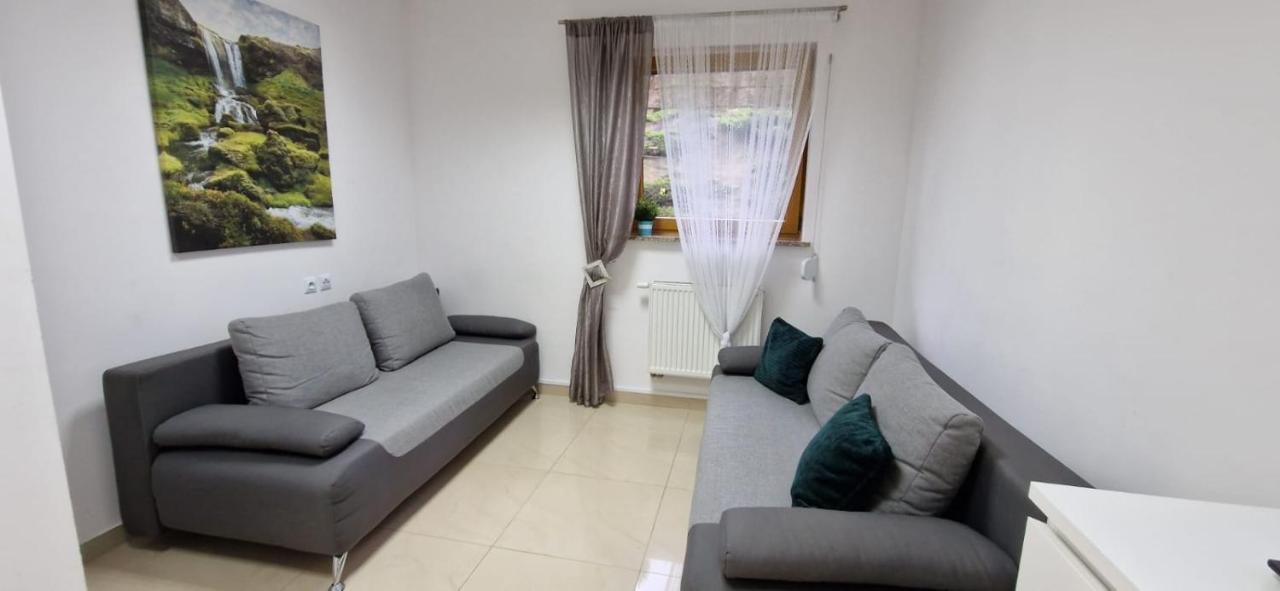 Apartment Rodzinne Zacisze: Pet-friendly Family Haven With Parking